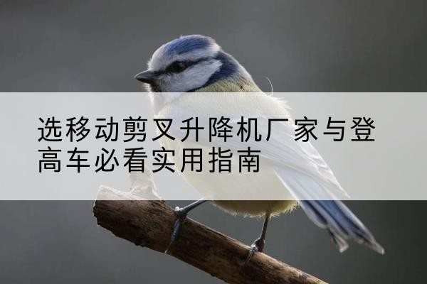 高港电动升降机厂家-选移动剪叉升降机厂家与登高车必看实用指南
