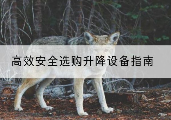 高港升降货梯厂家推荐-*安全选购升降设备指南