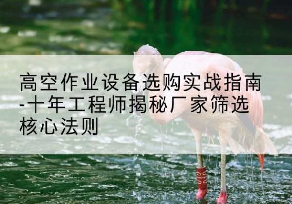 高港剪叉式升降机厂家-高空作业设备选购实战指南-十年工程师揭秘厂家筛选核心法则